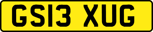 GS13XUG