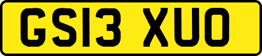 GS13XUO
