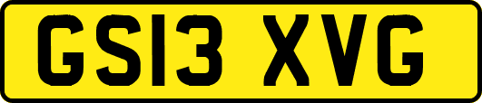 GS13XVG