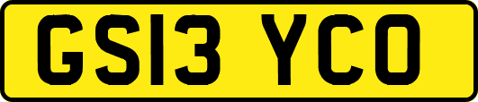 GS13YCO