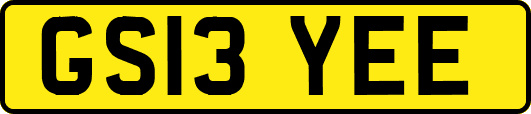 GS13YEE