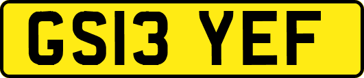 GS13YEF