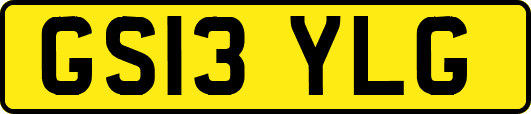 GS13YLG