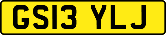 GS13YLJ