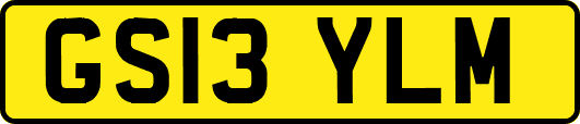 GS13YLM