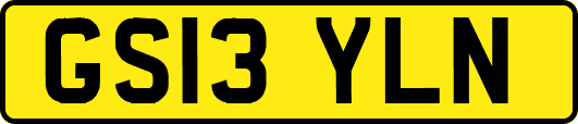 GS13YLN