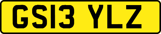 GS13YLZ