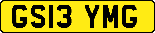 GS13YMG