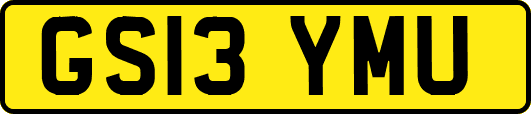 GS13YMU