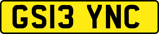 GS13YNC