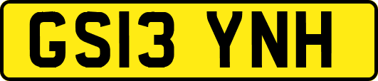 GS13YNH