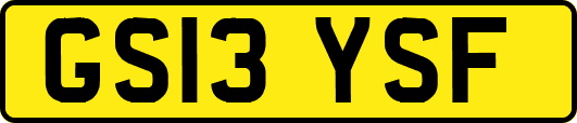 GS13YSF