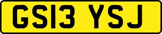 GS13YSJ