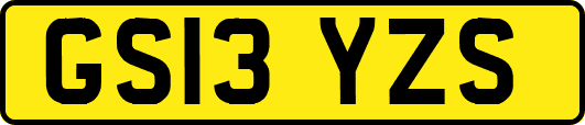 GS13YZS