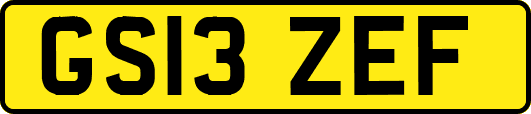 GS13ZEF