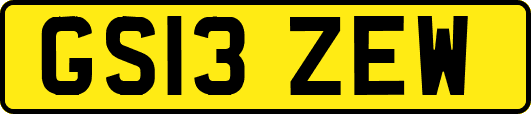 GS13ZEW