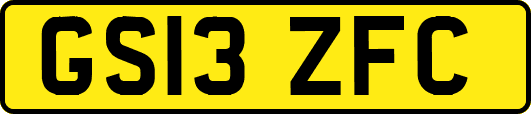 GS13ZFC