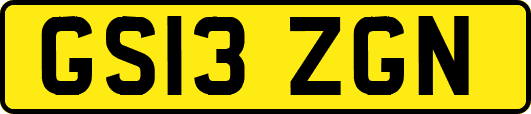 GS13ZGN