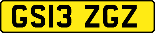 GS13ZGZ