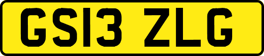 GS13ZLG
