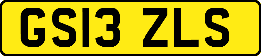 GS13ZLS