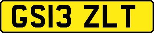 GS13ZLT