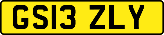 GS13ZLY
