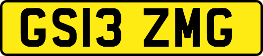 GS13ZMG