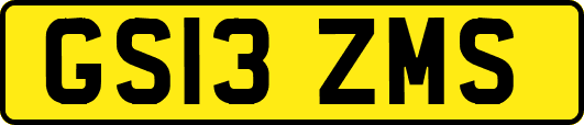 GS13ZMS