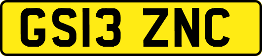 GS13ZNC