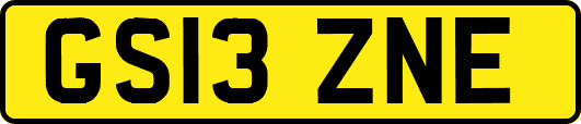 GS13ZNE