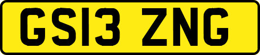 GS13ZNG