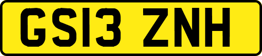 GS13ZNH