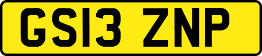 GS13ZNP