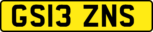 GS13ZNS