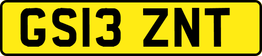GS13ZNT