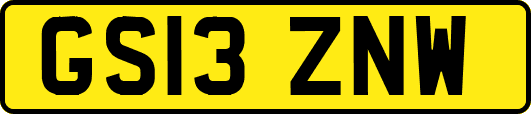 GS13ZNW