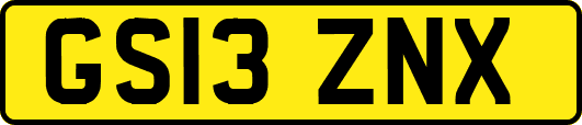 GS13ZNX