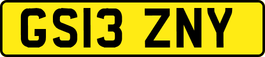 GS13ZNY