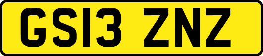 GS13ZNZ