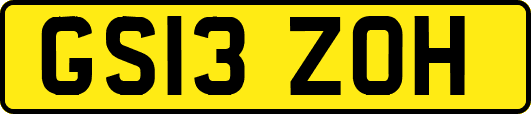 GS13ZOH