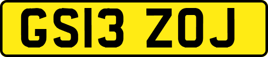 GS13ZOJ