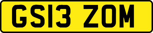 GS13ZOM