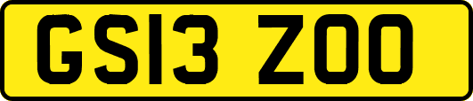 GS13ZOO