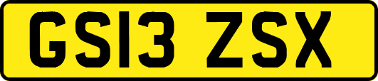 GS13ZSX