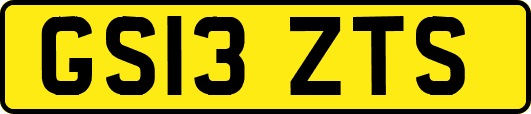 GS13ZTS