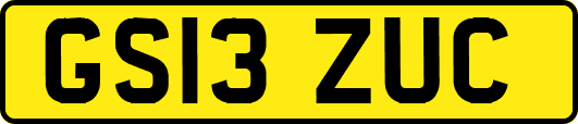 GS13ZUC