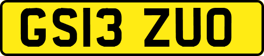 GS13ZUO
