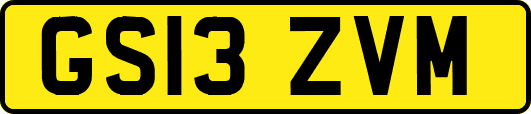 GS13ZVM