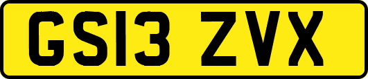 GS13ZVX